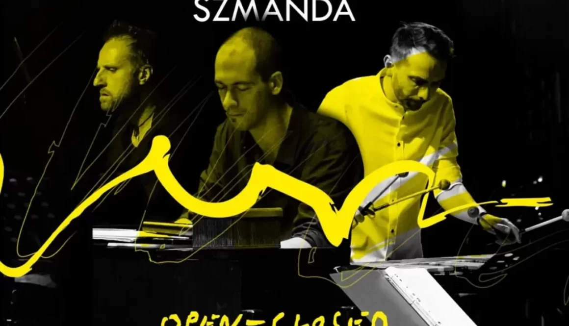 coverart_BanceVas